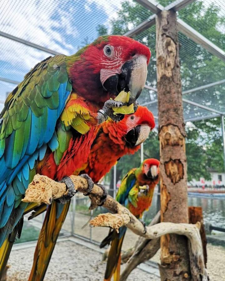 Penzion Eko Park Piestany Dış mekan fotoğraf